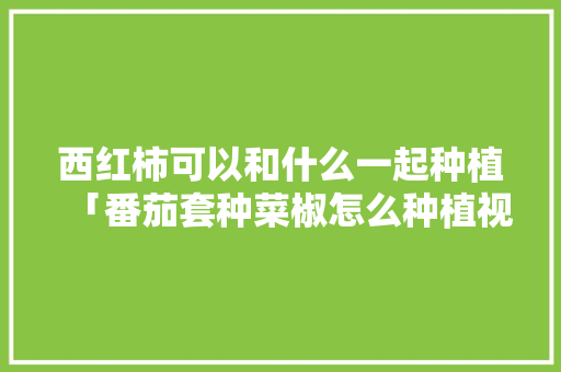 西红柿可以和什么一起种植「番茄套种菜椒怎么种植视频」 番茄病虫害防治 西红柿可以和什么一起种植「番茄套种菜椒怎么种植视频」 西红柿可以和什么一起种植「番茄套种菜椒怎么种植视频」 番茄病虫害防治