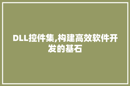 DLL控件集,构建高效软件开发的基石