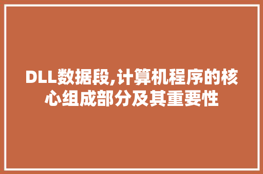 DLL数据段,计算机程序的核心组成部分及其重要性