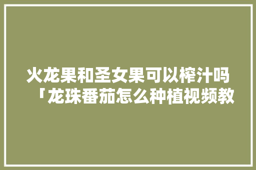 火龙果和圣女果可以榨汁吗「龙珠番茄怎么种植视频教程」