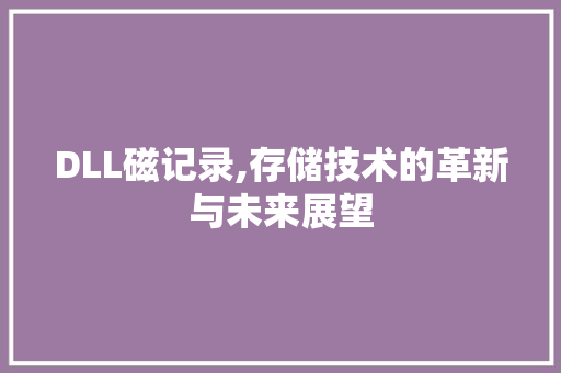 DLL磁记录,存储技术的革新与未来展望
