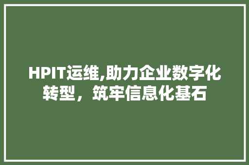 HPIT运维,助力企业数字化转型，筑牢信息化基石