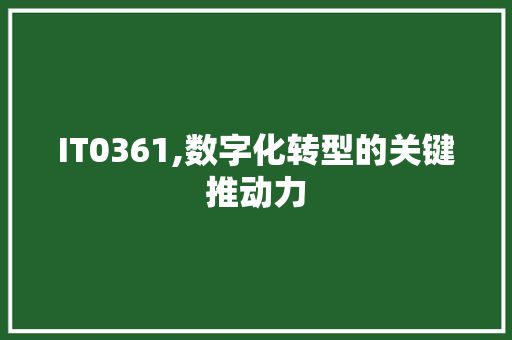IT0361,数字化转型的关键推动力