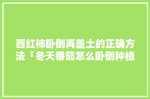 西红柿卧倒再盖土的正确方法「冬天番茄怎么卧倒种植呢」 西红柿卧倒再盖土的正确方法「冬天番茄怎么卧倒种植呢」 土壤施肥
