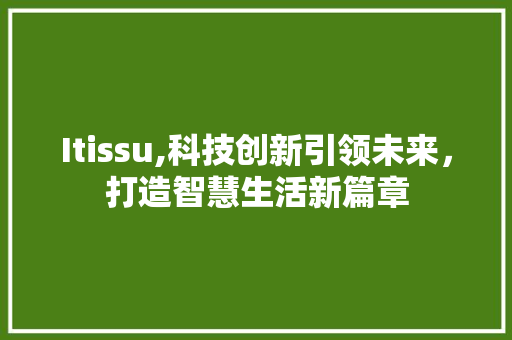 Itissu,科技创新引领未来，打造智慧生活新篇章