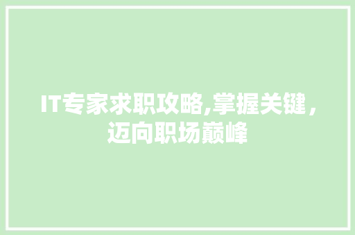 IT专家求职攻略,掌握关键，迈向职场巅峰