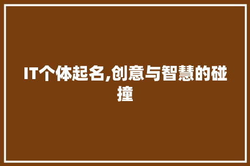 IT个体起名,创意与智慧的碰撞