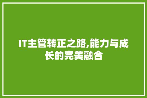 IT主管转正之路,能力与成长的完美融合