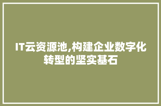 IT云资源池,构建企业数字化转型的坚实基石