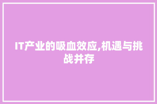 IT产业的吸血效应,机遇与挑战并存