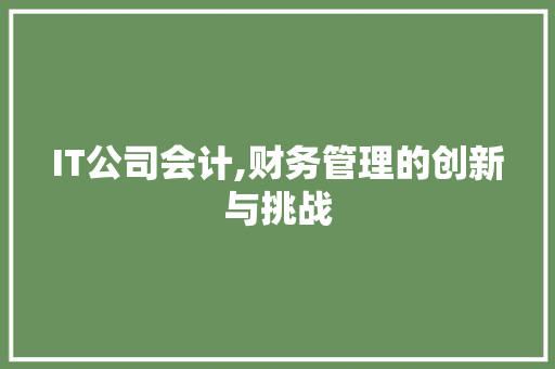 IT公司会计,财务管理的创新与挑战