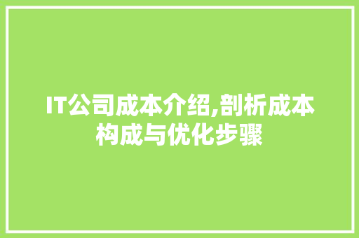 IT公司成本介绍,剖析成本构成与优化步骤