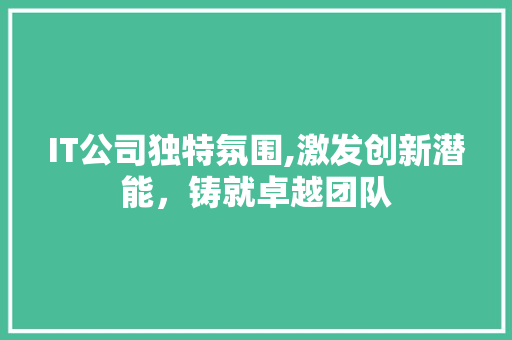 IT公司独特氛围,激发创新潜能，铸就卓越团队