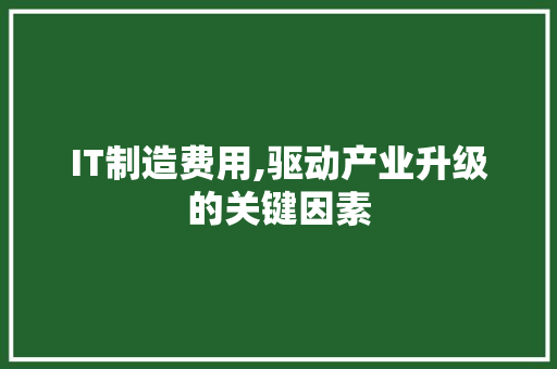IT制造费用,驱动产业升级的关键因素