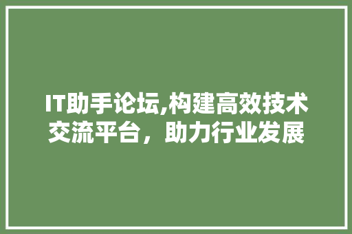 IT助手论坛,构建高效技术交流平台，助力行业发展