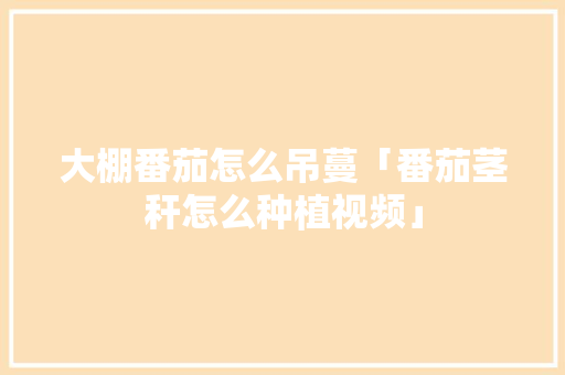 大棚番茄怎么吊蔓「番茄茎秆怎么种植视频」 大棚番茄怎么吊蔓「番茄茎秆怎么种植视频」 番茄种植技巧