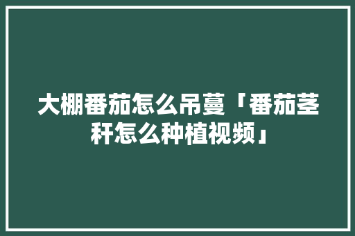 大棚番茄怎么吊蔓「番茄茎秆怎么种植视频」 大棚番茄怎么吊蔓「番茄茎秆怎么种植视频」 番茄种植技巧