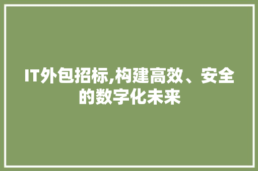 IT外包招标,构建高效、安全的数字化未来