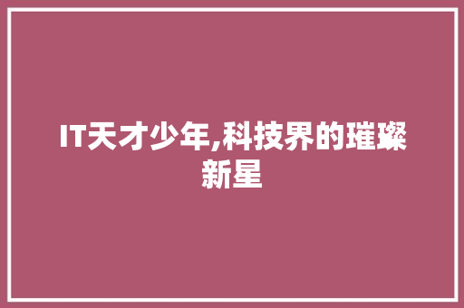 IT天才少年,科技界的璀璨新星