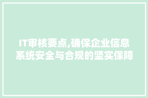 IT审核要点,确保企业信息系统安全与合规的坚实保障