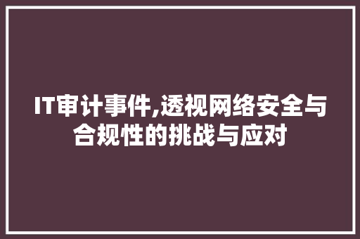 IT审计事件,透视网络安全与合规性的挑战与应对