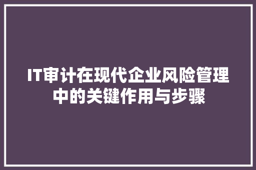 IT审计在现代企业风险管理中的关键作用与步骤