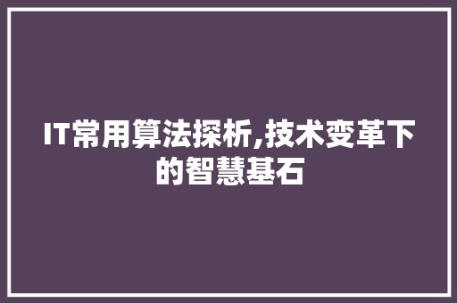 IT常用算法探析,技术变革下的智慧基石