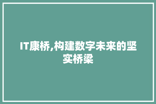 IT康桥,构建数字未来的坚实桥梁