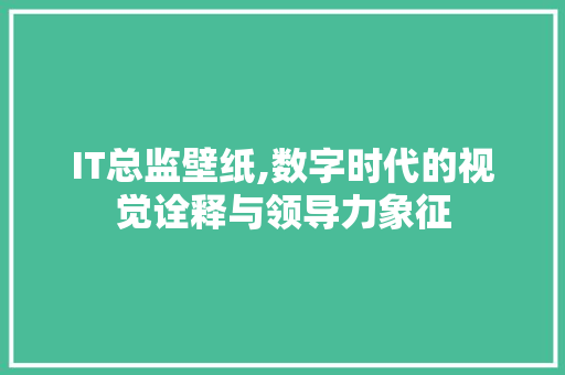 IT总监壁纸,数字时代的视觉诠释与领导力象征