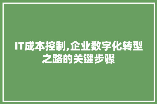 IT成本控制,企业数字化转型之路的关键步骤