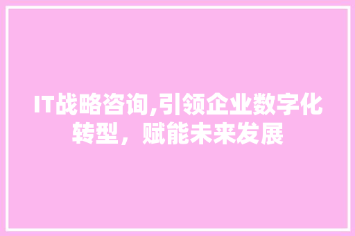 IT战略咨询,引领企业数字化转型，赋能未来发展