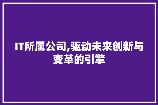 IT所属公司,驱动未来创新与变革的引擎