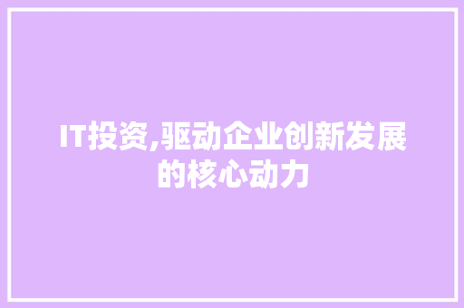 IT投资,驱动企业创新发展的核心动力