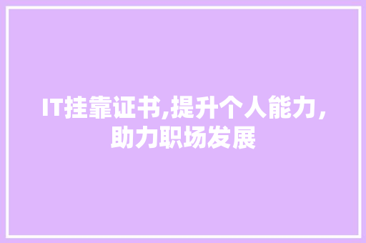 IT挂靠证书,提升个人能力，助力职场发展