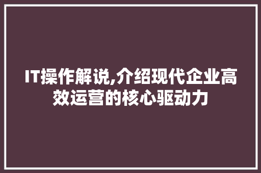 IT操作解说,介绍现代企业高效运营的核心驱动力
