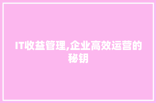 IT收益管理,企业高效运营的秘钥