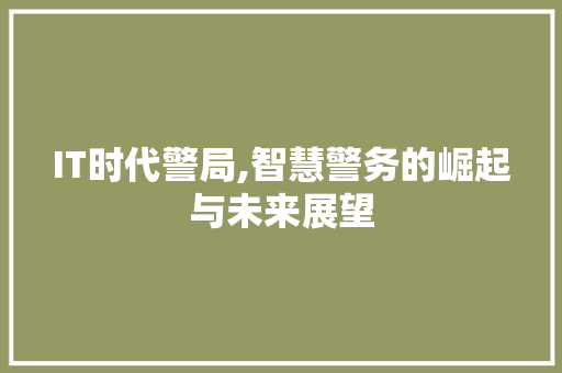 IT时代警局,智慧警务的崛起与未来展望