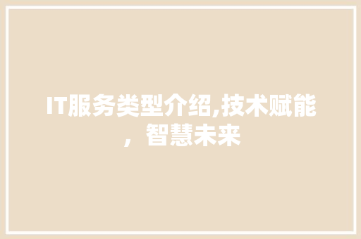 IT服务类型介绍,技术赋能，智慧未来