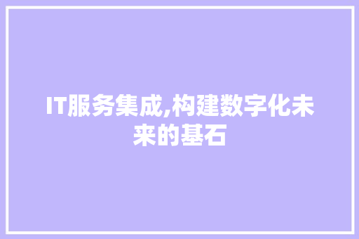 IT服务集成,构建数字化未来的基石