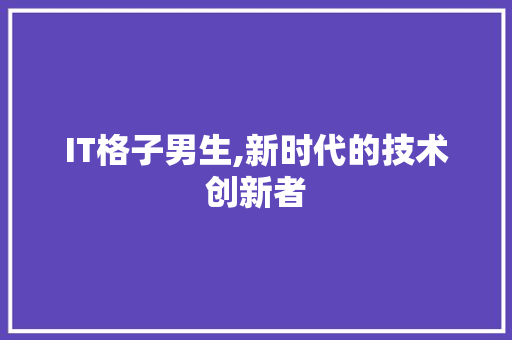 IT格子男生,新时代的技术创新者