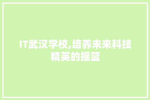 IT武汉学校,培养未来科技精英的摇篮