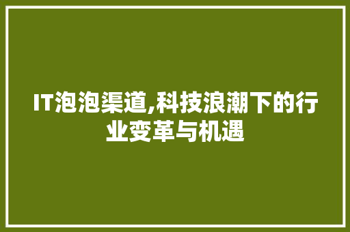 IT泡泡渠道,科技浪潮下的行业变革与机遇