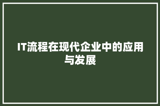 IT流程在现代企业中的应用与发展