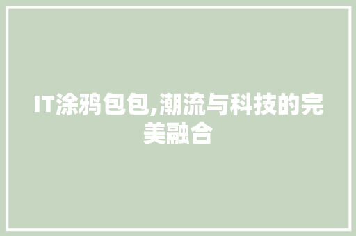 IT涂鸦包包,潮流与科技的完美融合 IT涂鸦包包,潮流与科技的完美融合