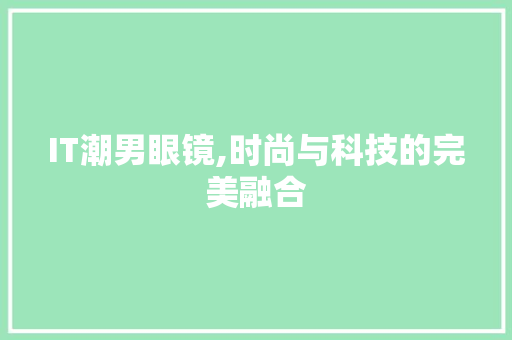 IT潮男眼镜,时尚与科技的完美融合 IT潮男眼镜,时尚与科技的完美融合