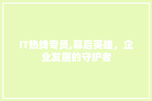 IT热线专员,幕后英雄，企业发展的守护者