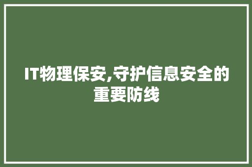 IT物理保安,守护信息安全的重要防线 IT物理保安,守护信息安全的重要防线