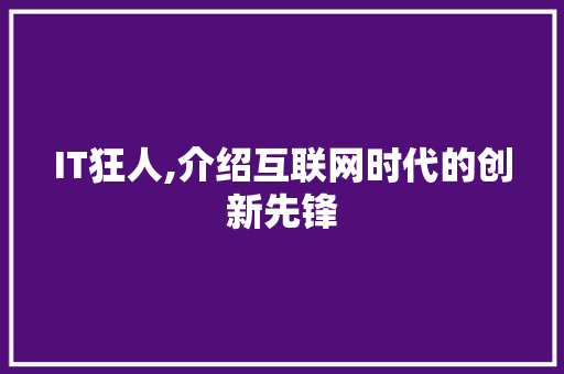IT狂人,介绍互联网时代的创新先锋