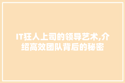 IT狂人上司的领导艺术,介绍高效团队背后的秘密 IT狂人上司的领导艺术,介绍高效团队背后的秘密