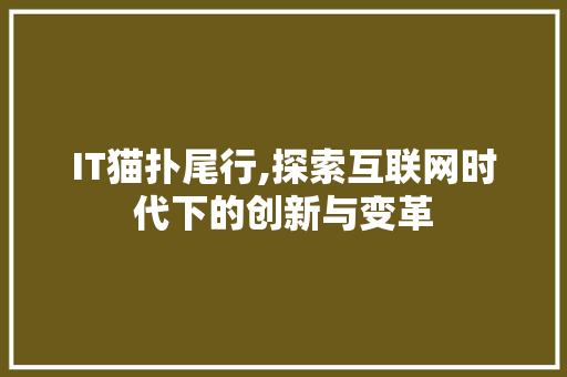 IT猫扑尾行,探索互联网时代下的创新与变革